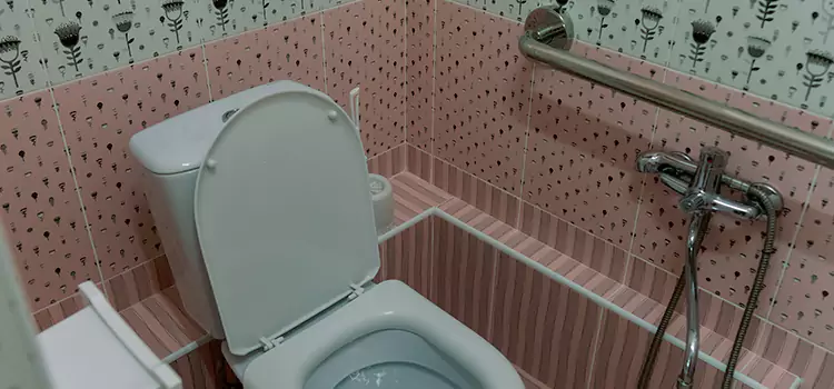 Meeting Diverse Needs With Accessible Restroom Solutions in Upper St. Clair, PA